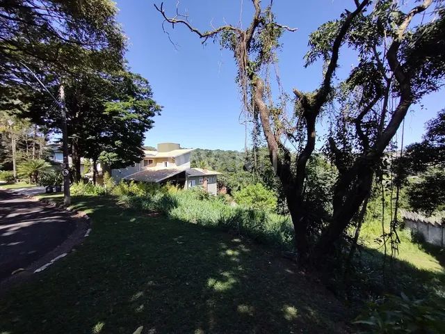 terreno - Chácara Flora - Valinhos - Foto 4