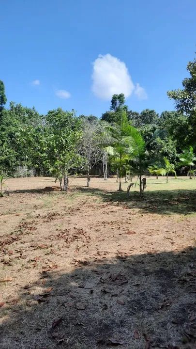 Terreno Documentado em Belterra  - Foto 4
