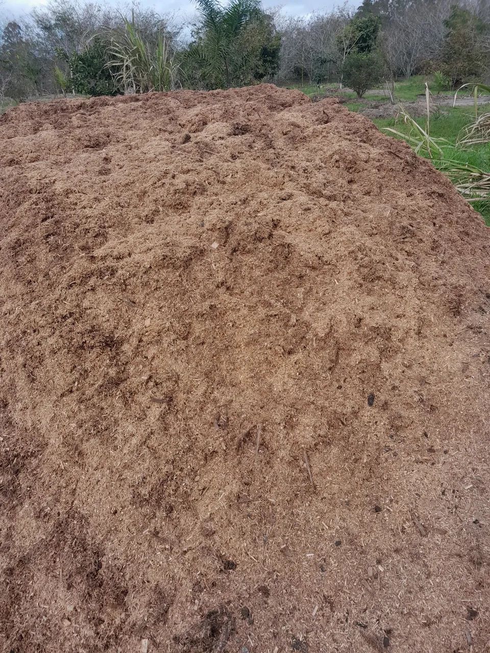 Terra Preta (composto orgânico) *  - Foto 6