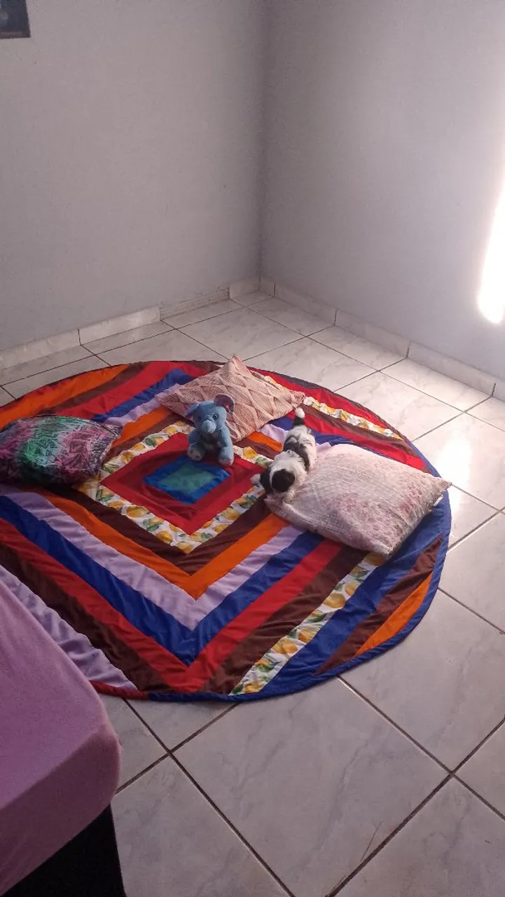 Cachorro shytus com Cama Pet Redonda preta com Pelúcia