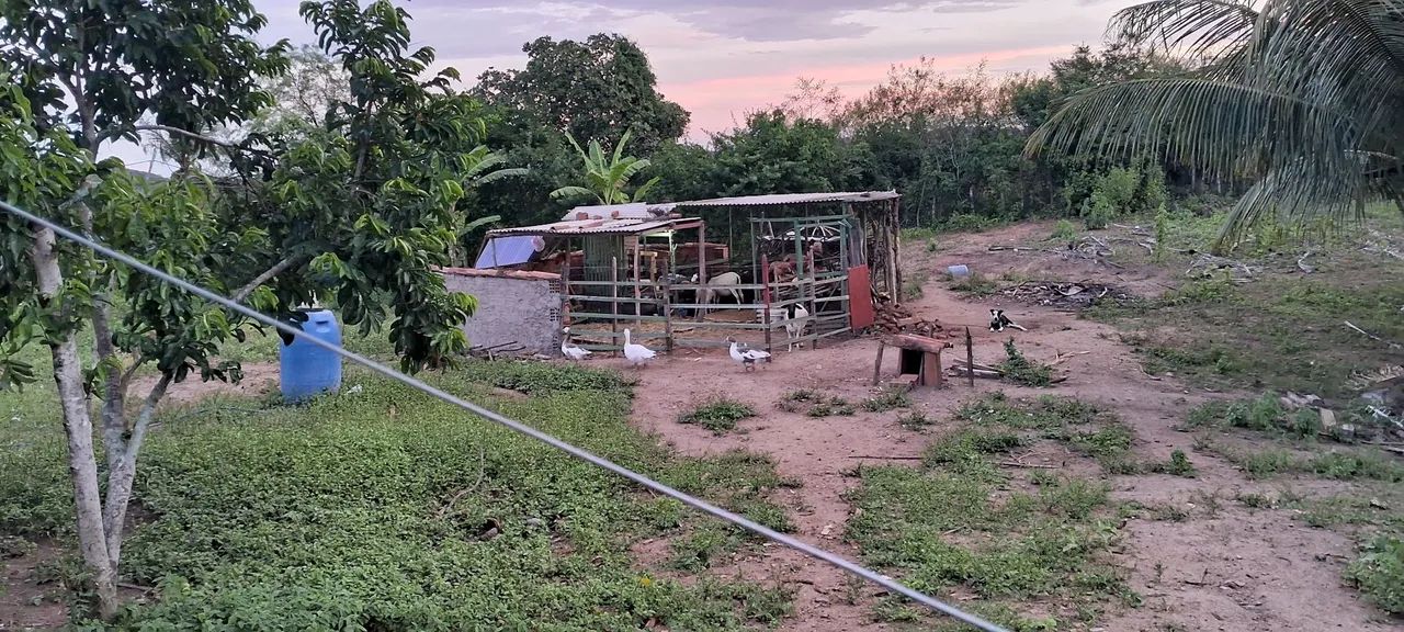 Acampamento em área verde com lago - Foto 2