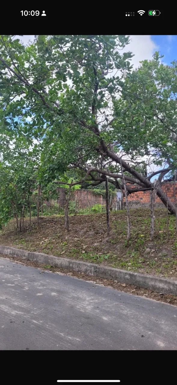 Vende-se Terreno Prox- LE BARON ( rua pavimentada) - Foto 3