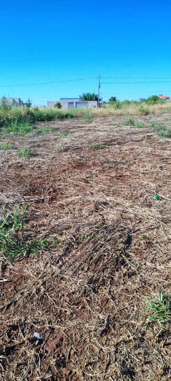 Oportunidade - terreno no alto das palmeiras  - Foto 2