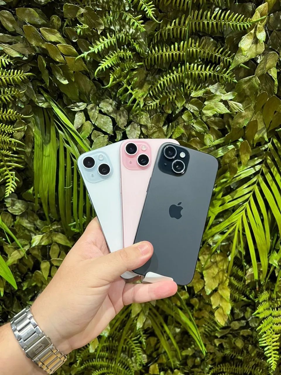 iPhone 15 todas as cores / venha para melhor loja 