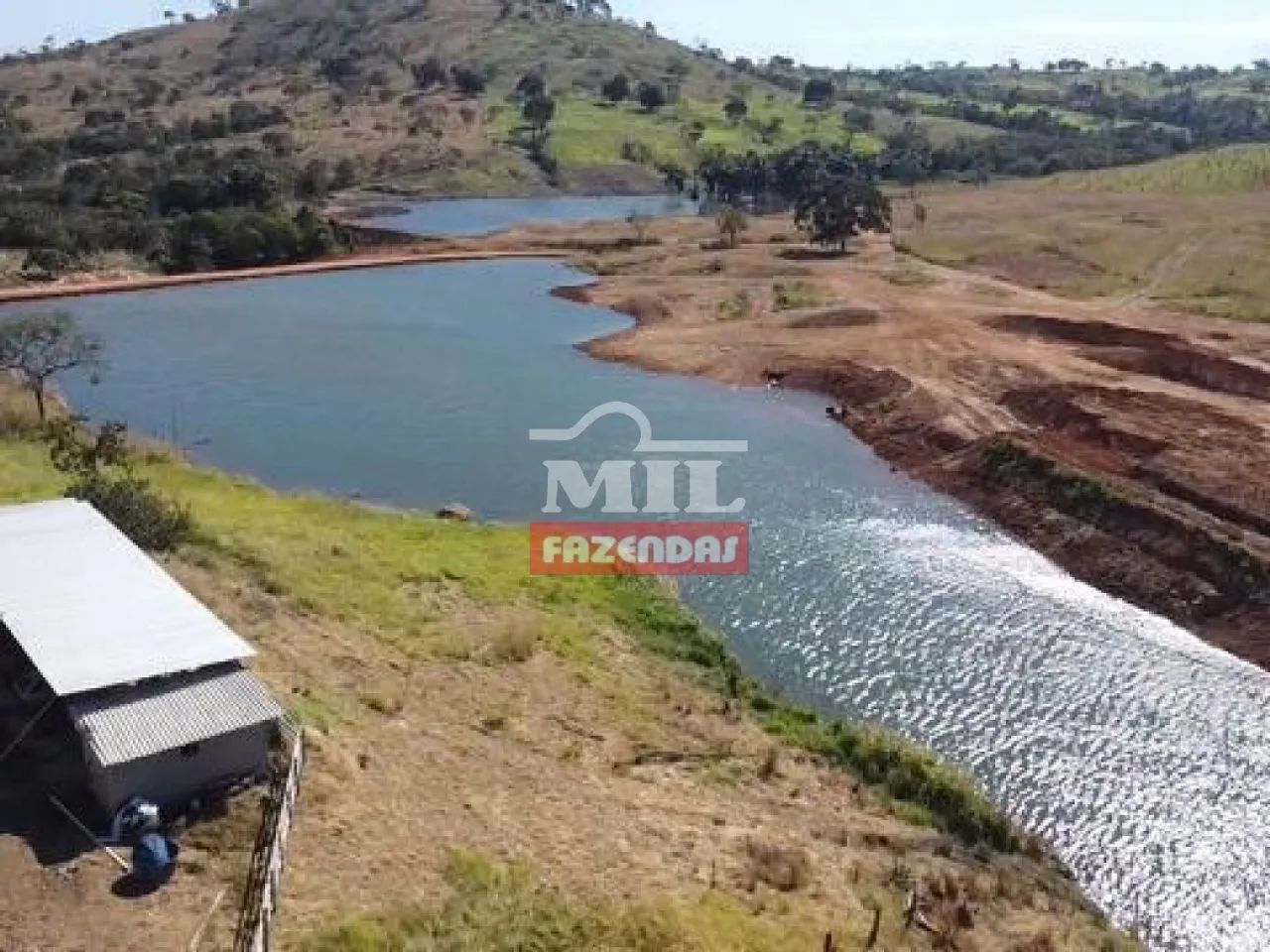 Fazenda de 100 Alqueires (484 Hectares) em Hidrolina-GO - Foto 5