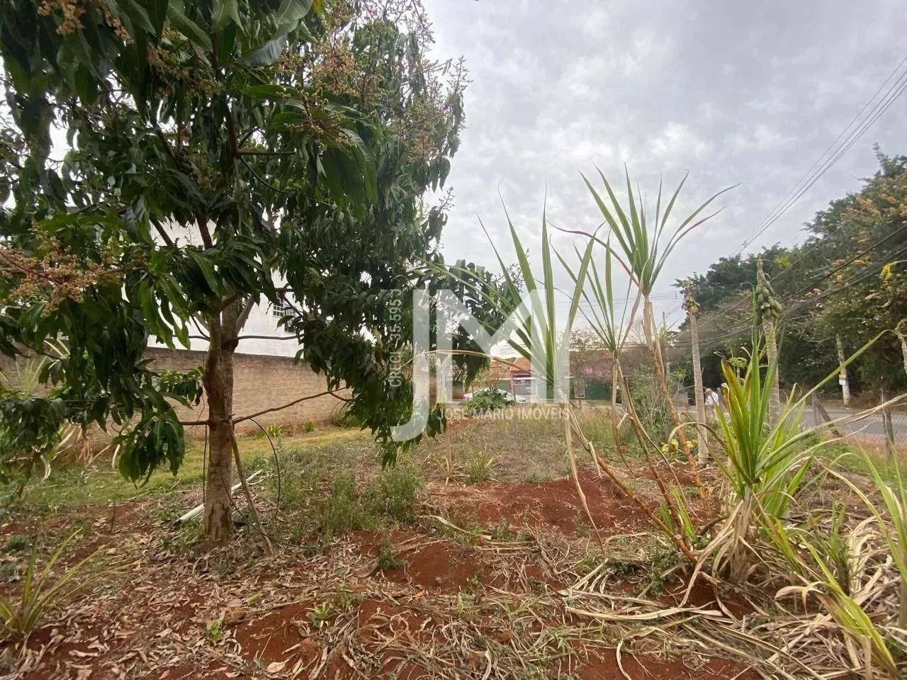 Terreno à venda, Jardim do Sol, Campinas, SP - Foto 5