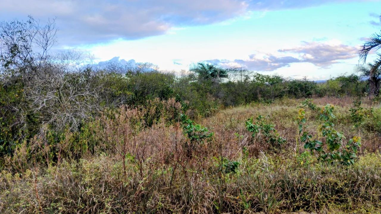 Terreno de 5 Tarefas  - Foto 5