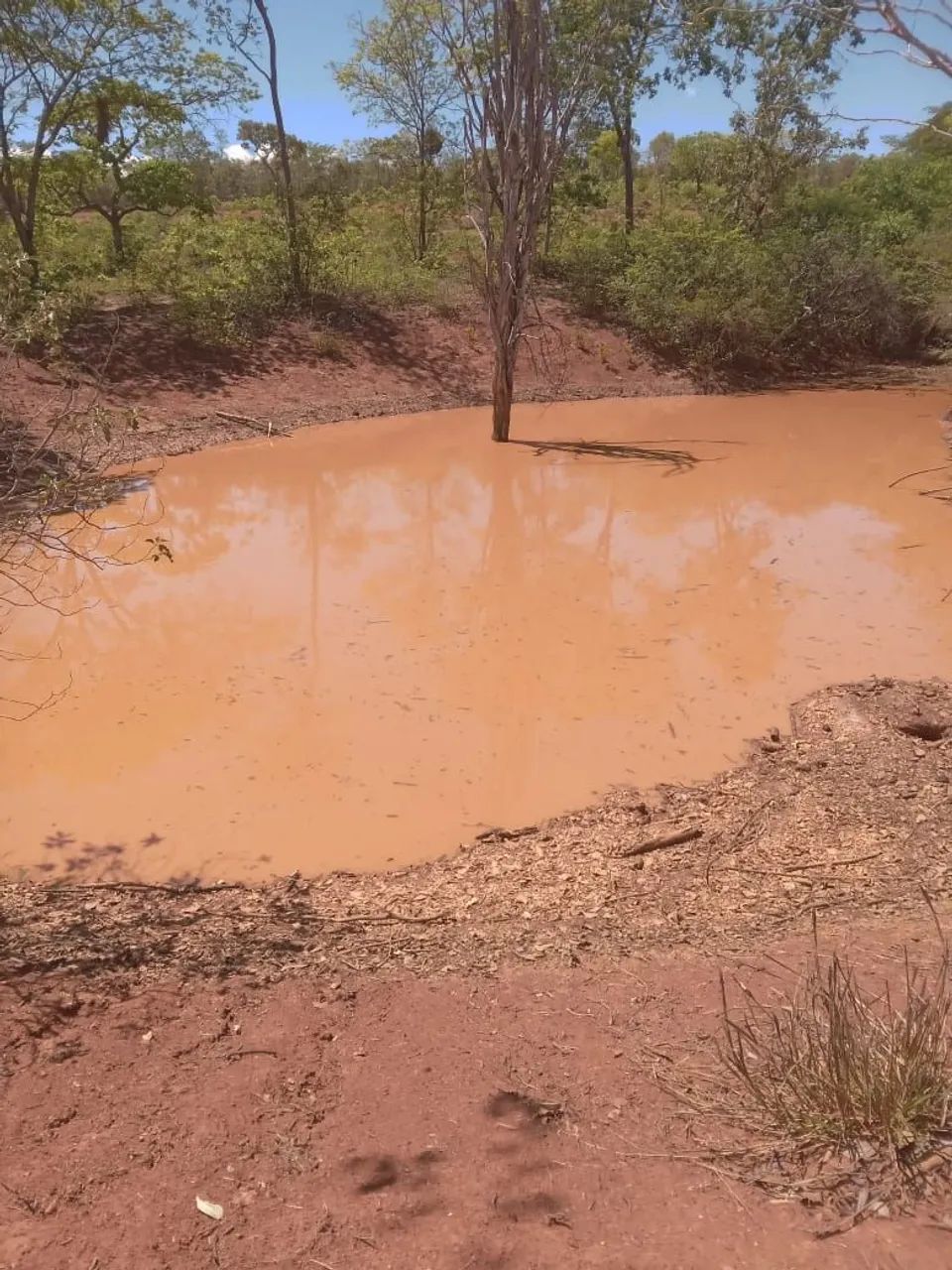 Sítio de 13 hequitares a 32 km de moc  - Foto 5