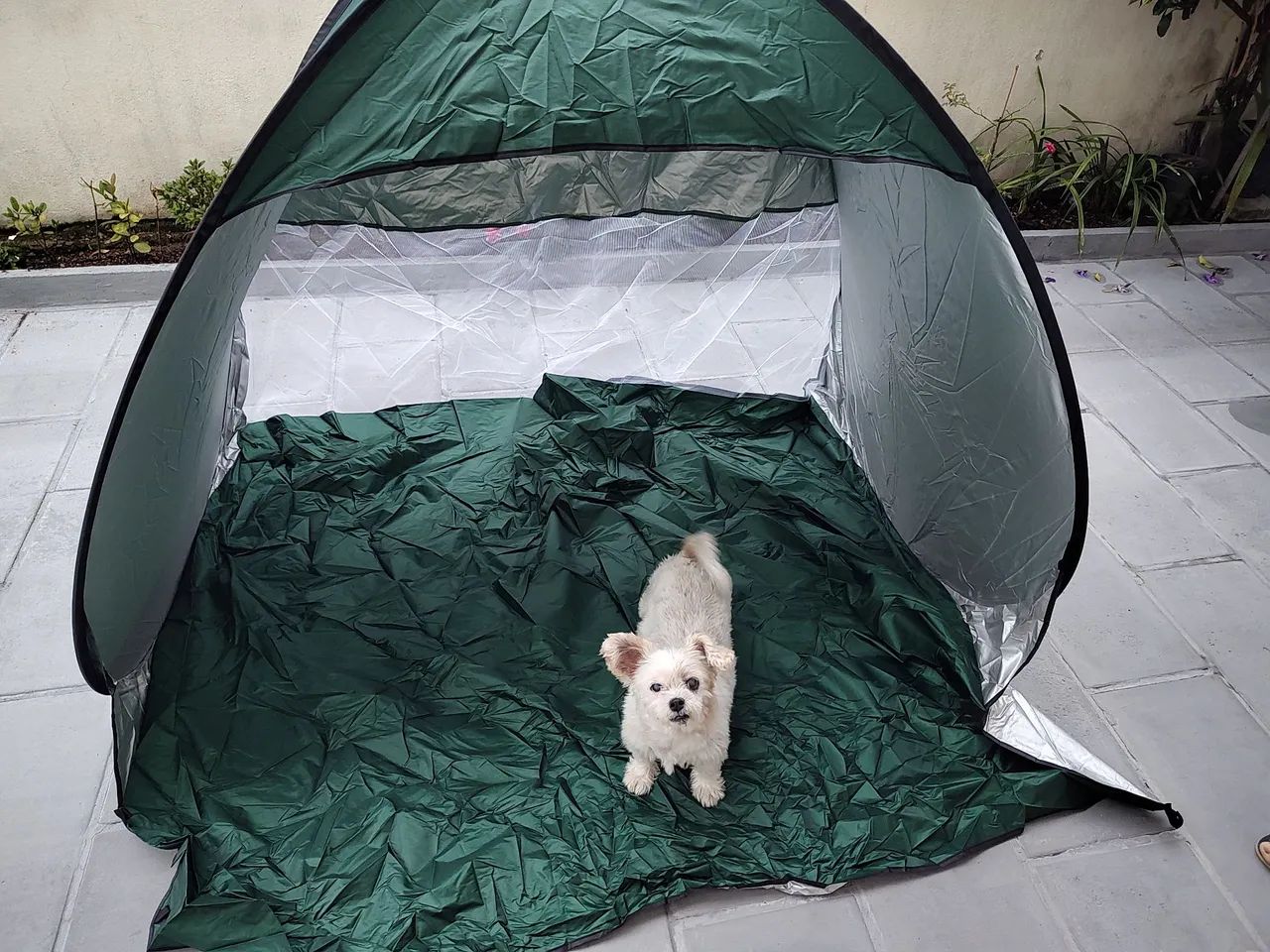 Barraca de praia para o verão 