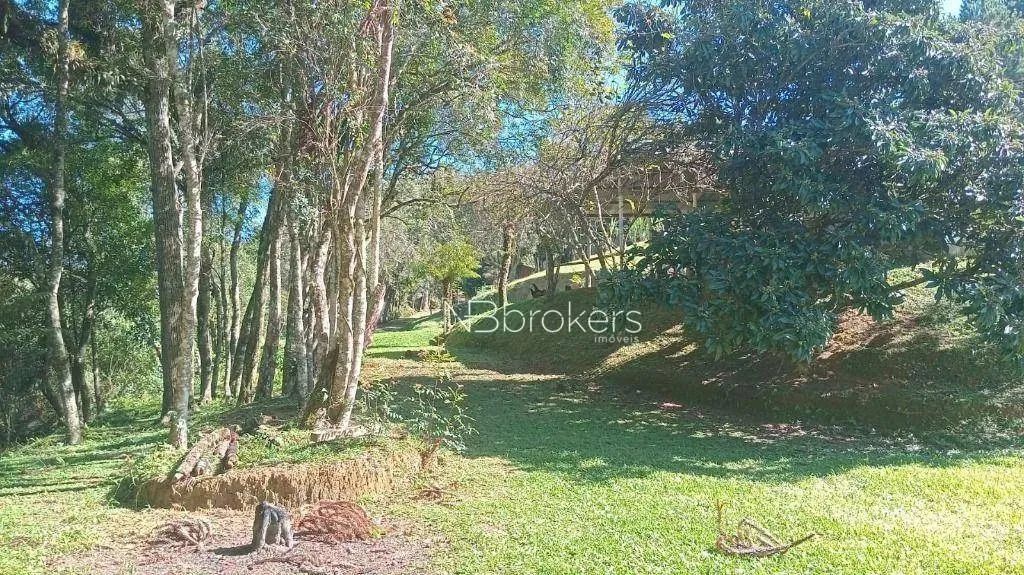 Chácara /Roça Velha SJP - Foto 4