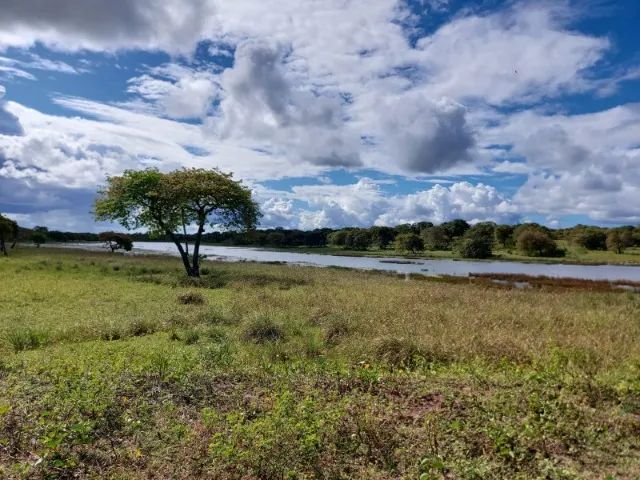 Fazenda Vitoria - 76 hectares em Chorozinho para vender