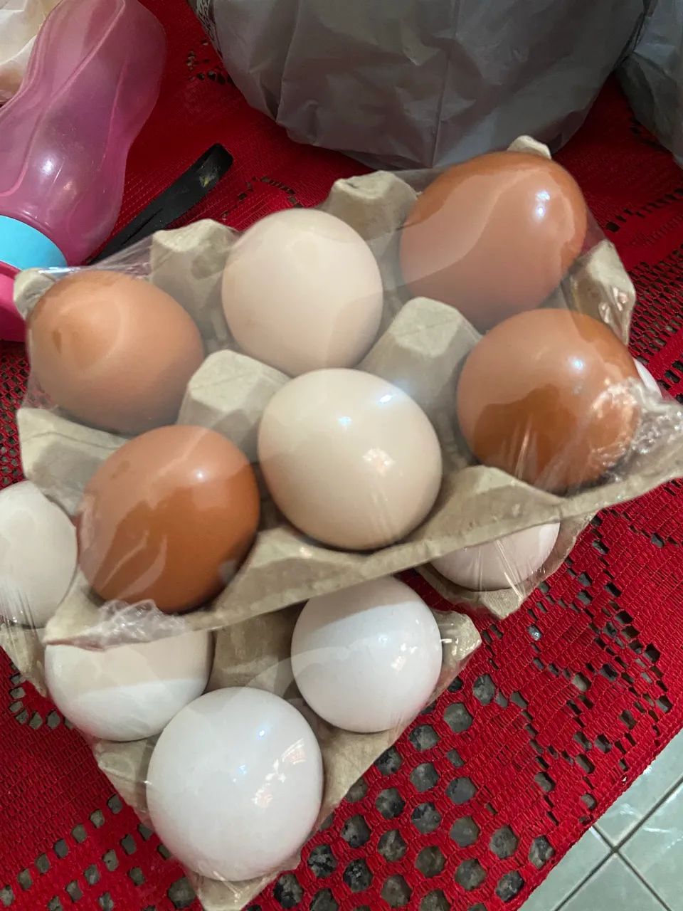 Galinhas poedeiras em postura 