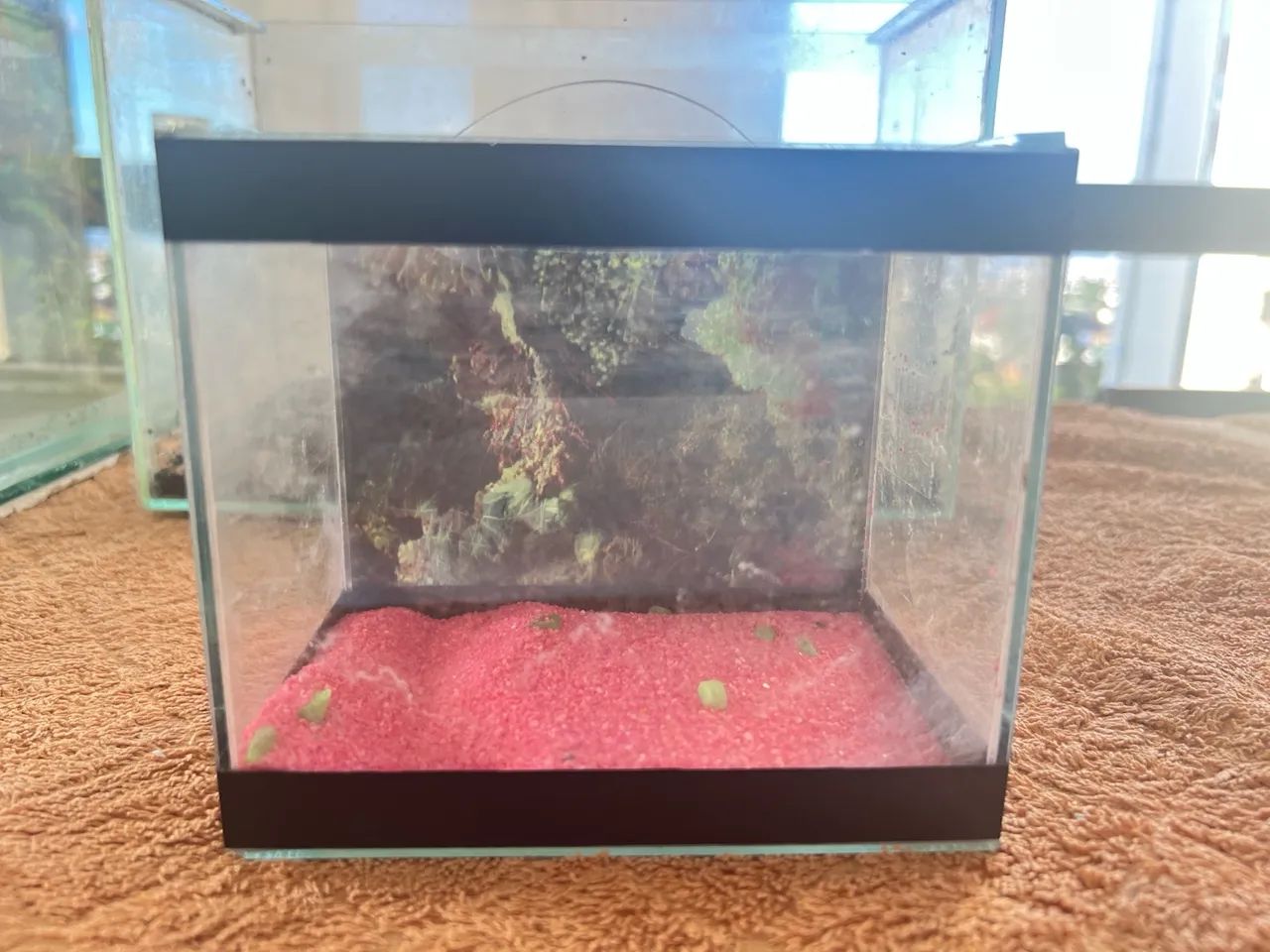 Conjunto de aquários de vidro e filtros interno Boyu FP-28E e Power Filter Maxxi HF - Foto 3