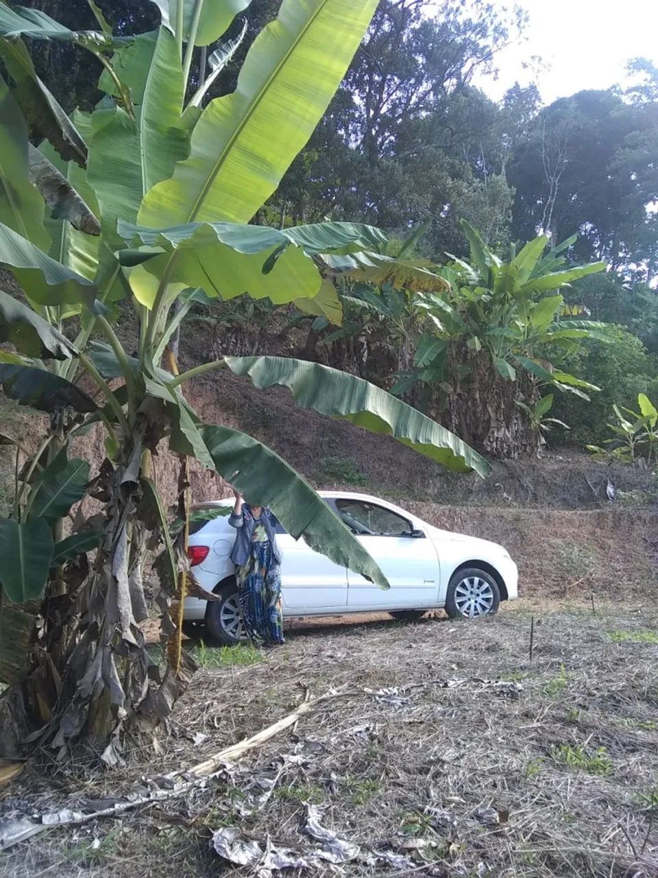 Teresópolis sc perto água mornas  - Foto 5