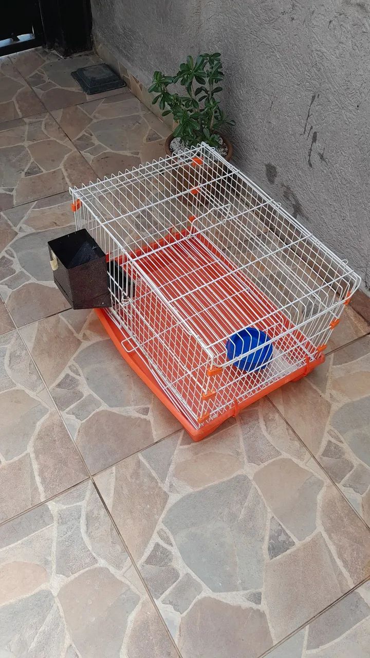 Gaiola para coelho / Hamster - Foto 3