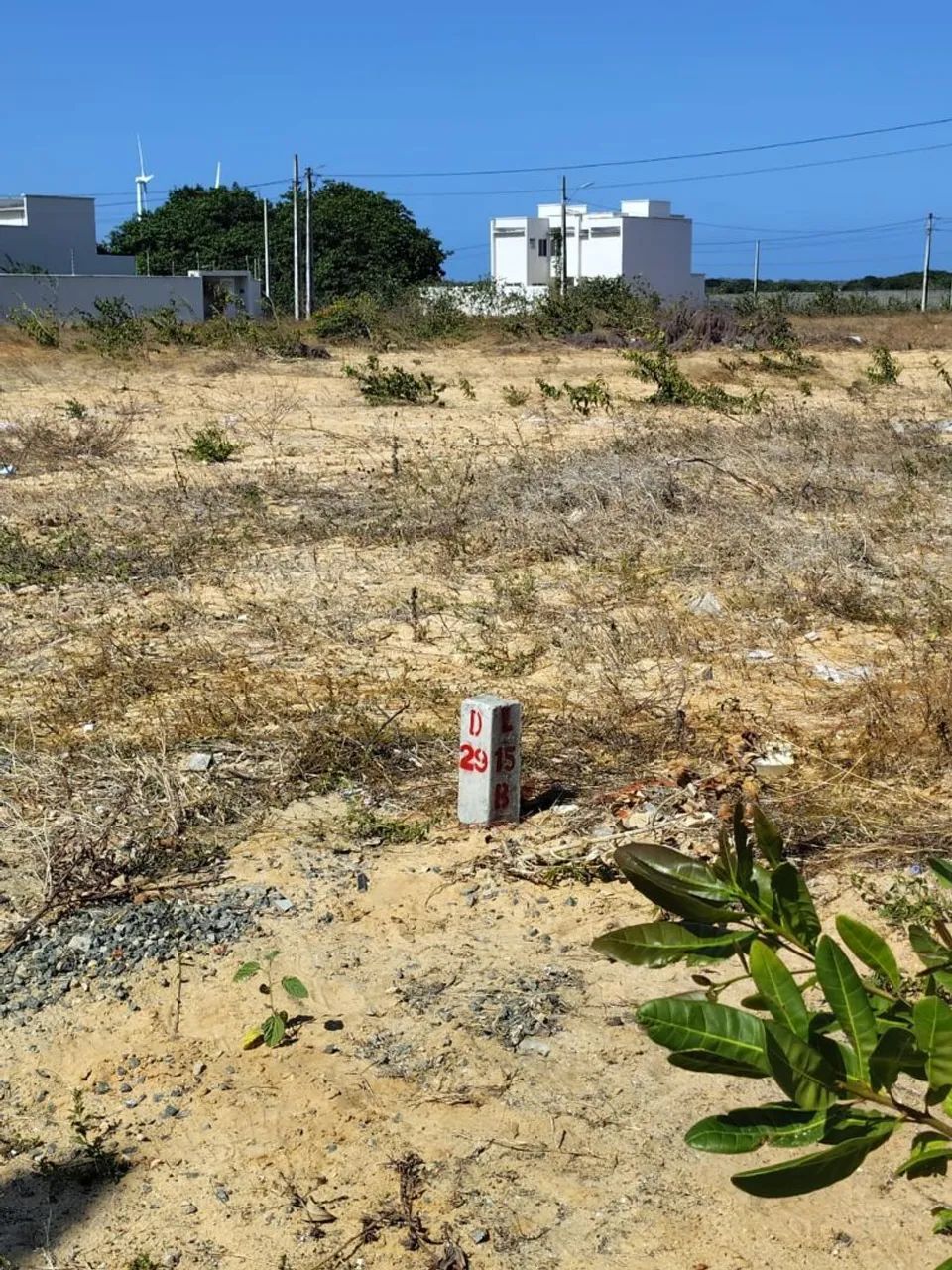 Foto - Horizonte - Centro
