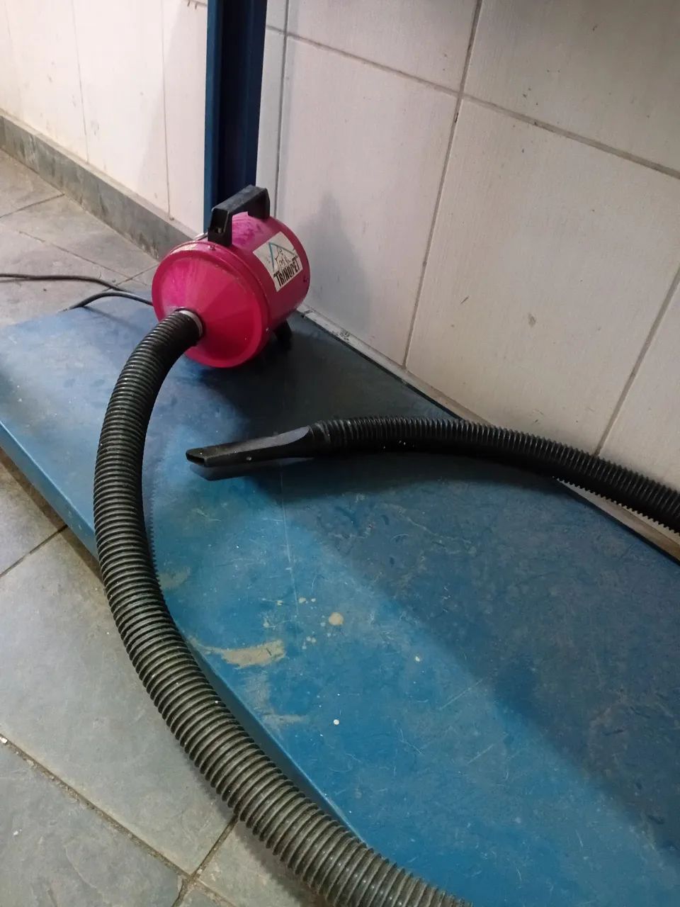 Banho e tosa completo imperdível - Foto 3