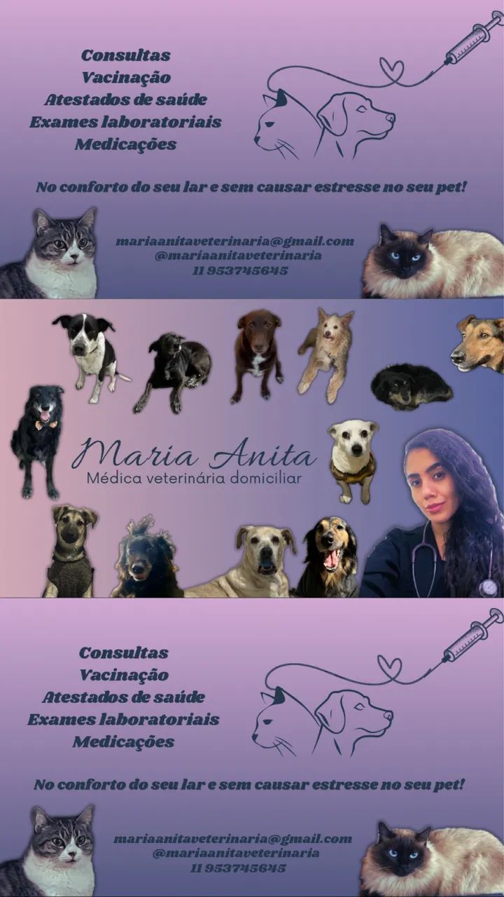 Veterinária  - Foto 2