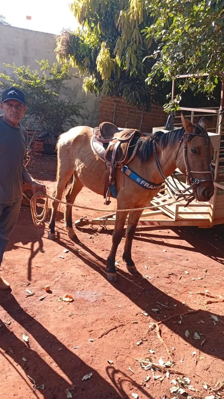 Polda dois anos e meio