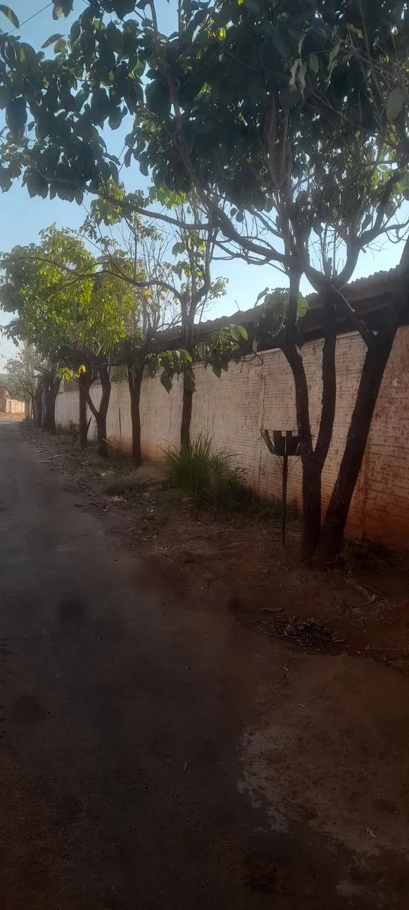IMDUSTRIA FABRICAÇÃO TIJOLOS - Foto 4