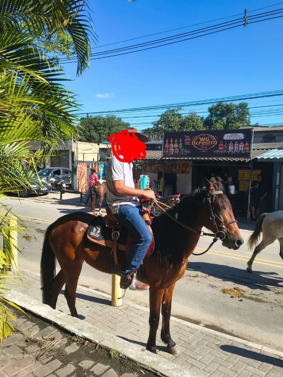Égua macha picada não aceito trocas 