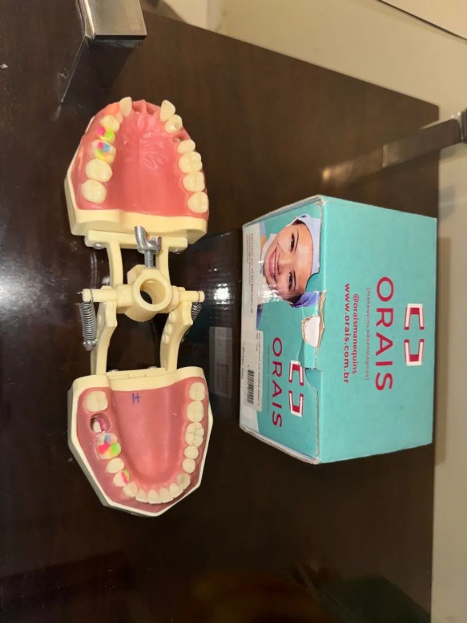 Manequim Odontológico Dentística Orais Com Preparo Ref. 102n - Foto 2