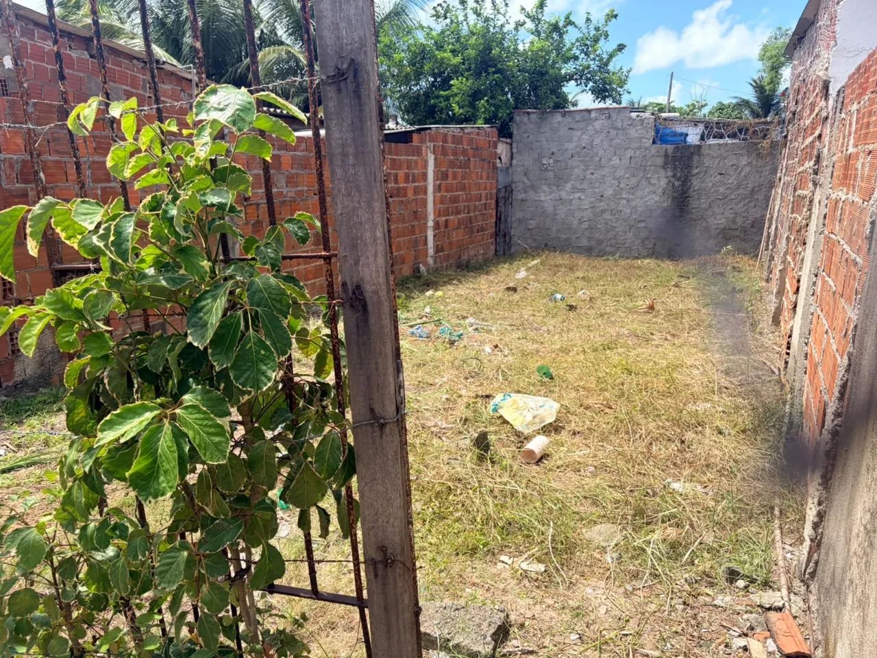 ? TERRENO À VENDA!  - Foto 3