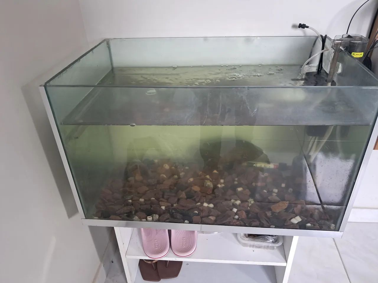 Aquario  - Foto 3