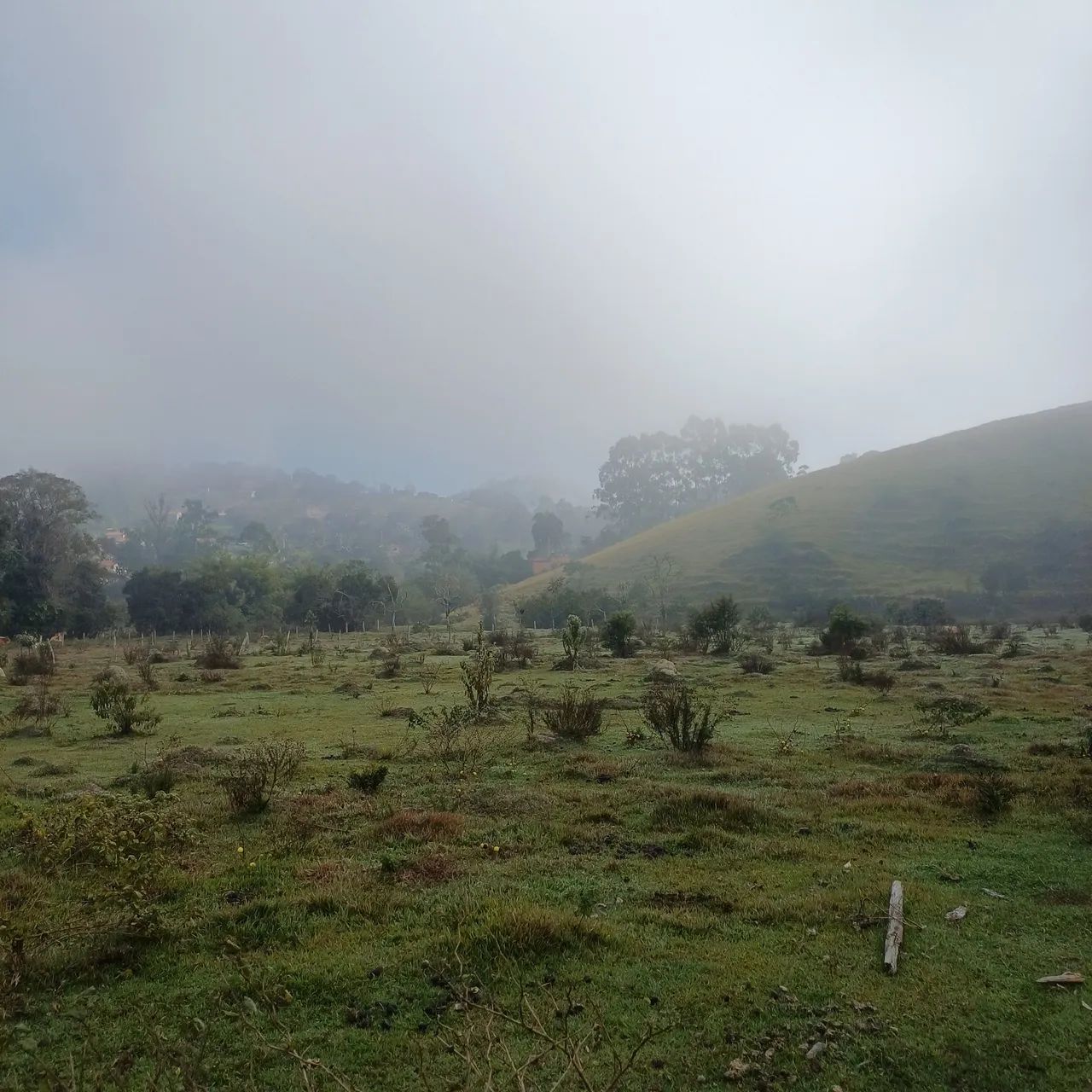 Terreno 6000m²  - Foto 4