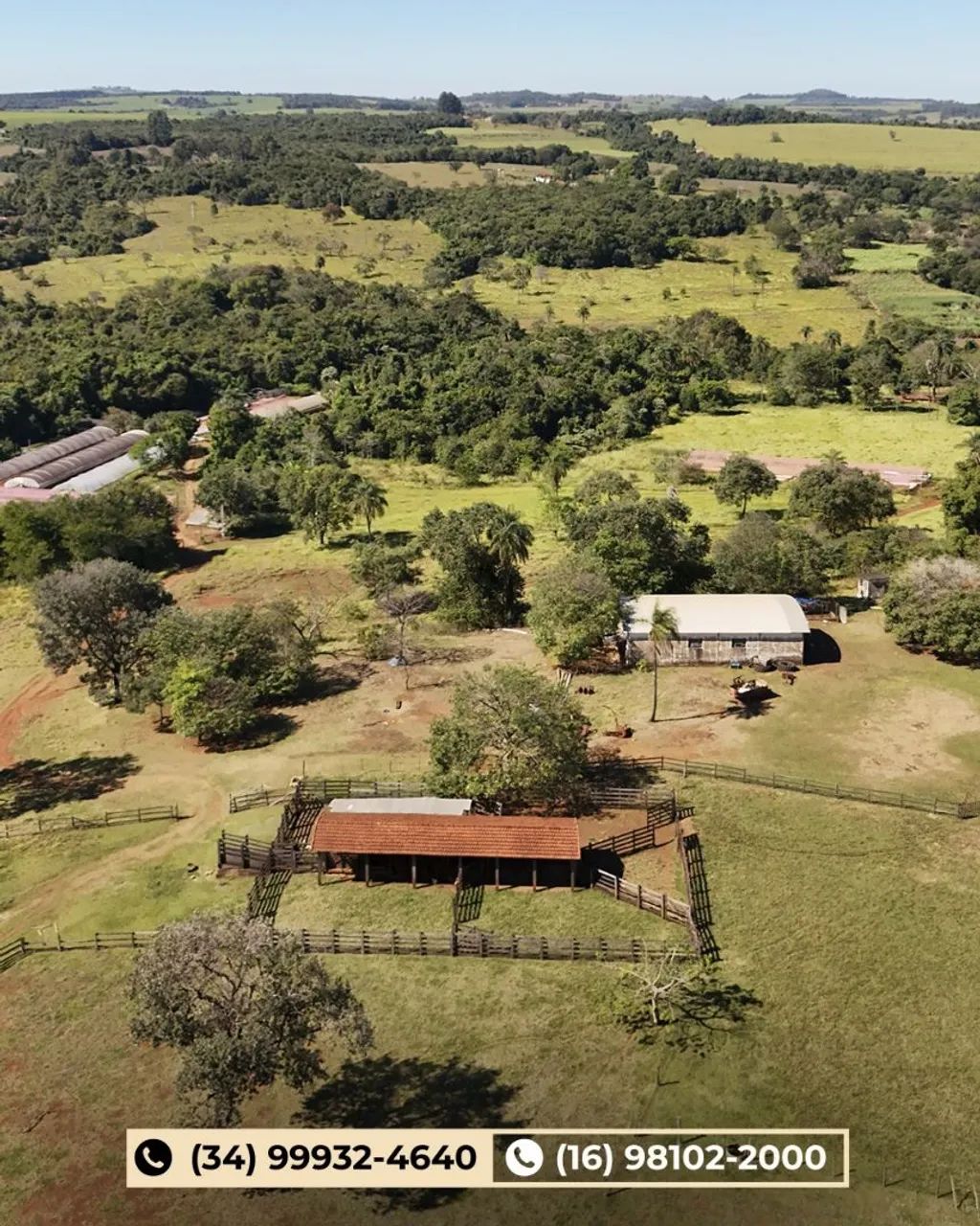 Fazenda em Cajuru-SP  - Foto 5