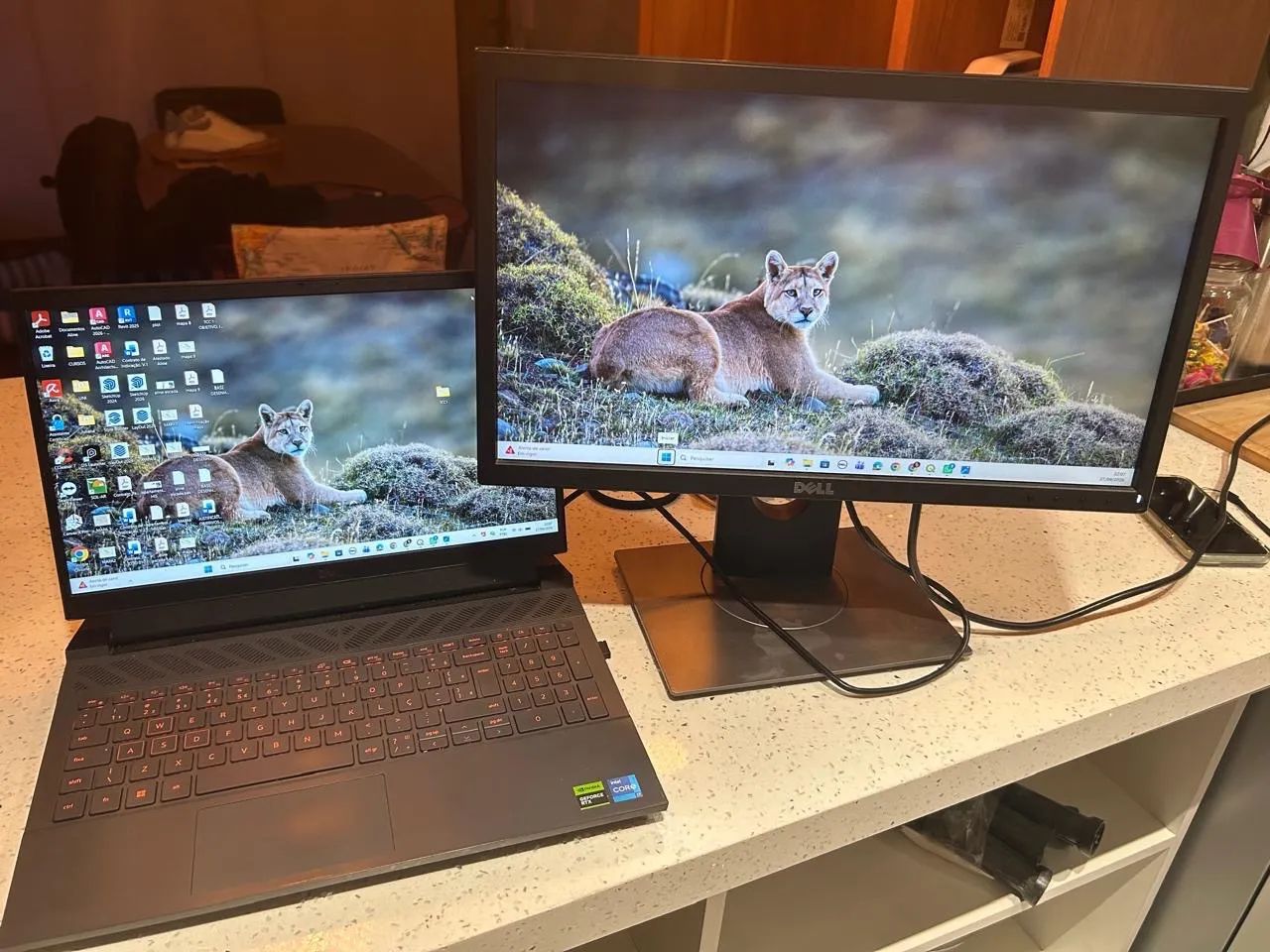 Monitor Dell D2421P - 24 polegadas  - Foto 5