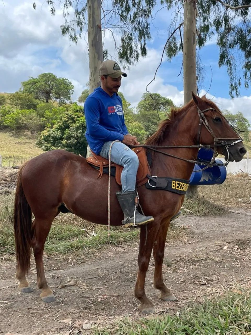Cavalo Manso, Dócil, Ideal para Lida e Passeio - Foto 3