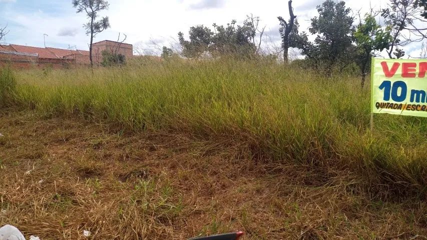 Area 10.000 mts² no Recreio Mossoro - Foto 4