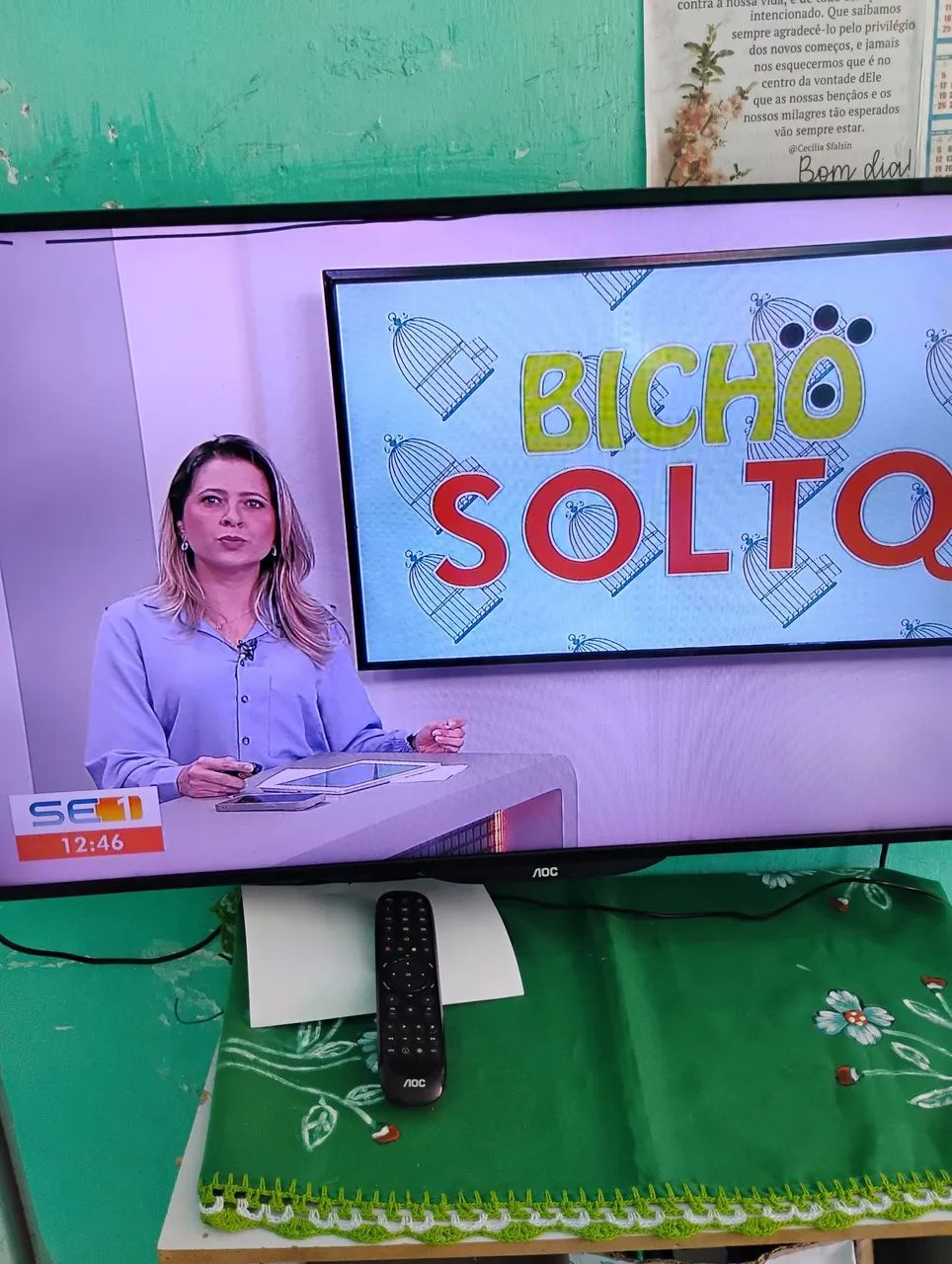 TELEVISÃO AOC 40 POLEGADA COM CONTROLE FUNCIONANDO LCD  - Foto 3