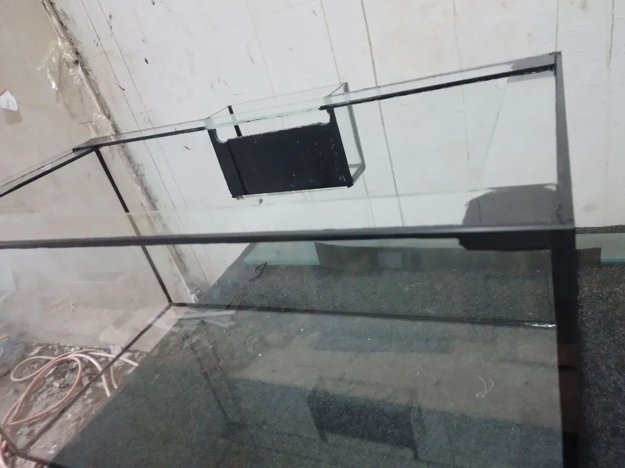 Aquário novo  - Foto 4