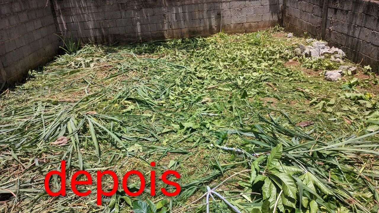 servicos com roçadeira  - Foto 3