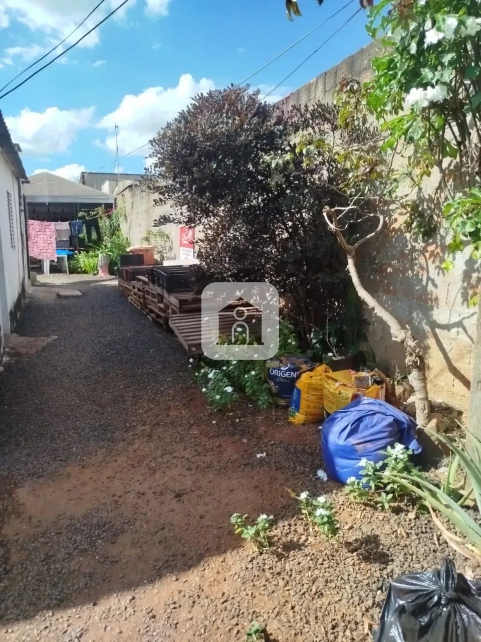 Terreno para venda no bairro Bom Jesus - Foto 5