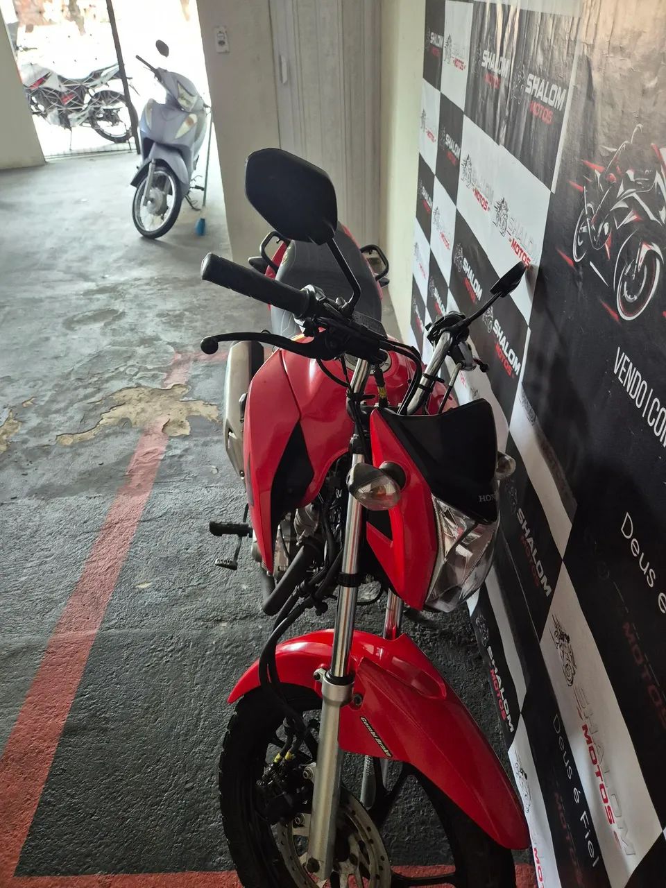 Fan 2019 conservada  - Foto 3