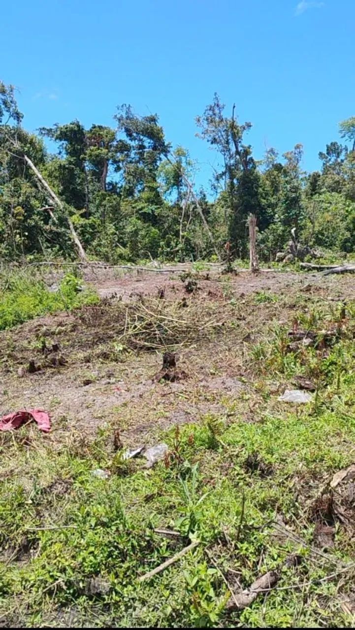 Terreno:10x30 com escritura.    - Foto 2