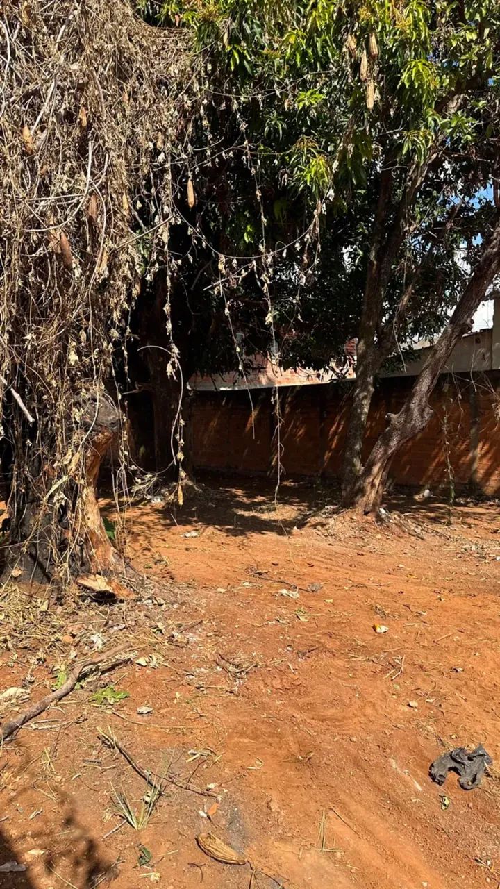 Lote Grande à Venda - Foto 4