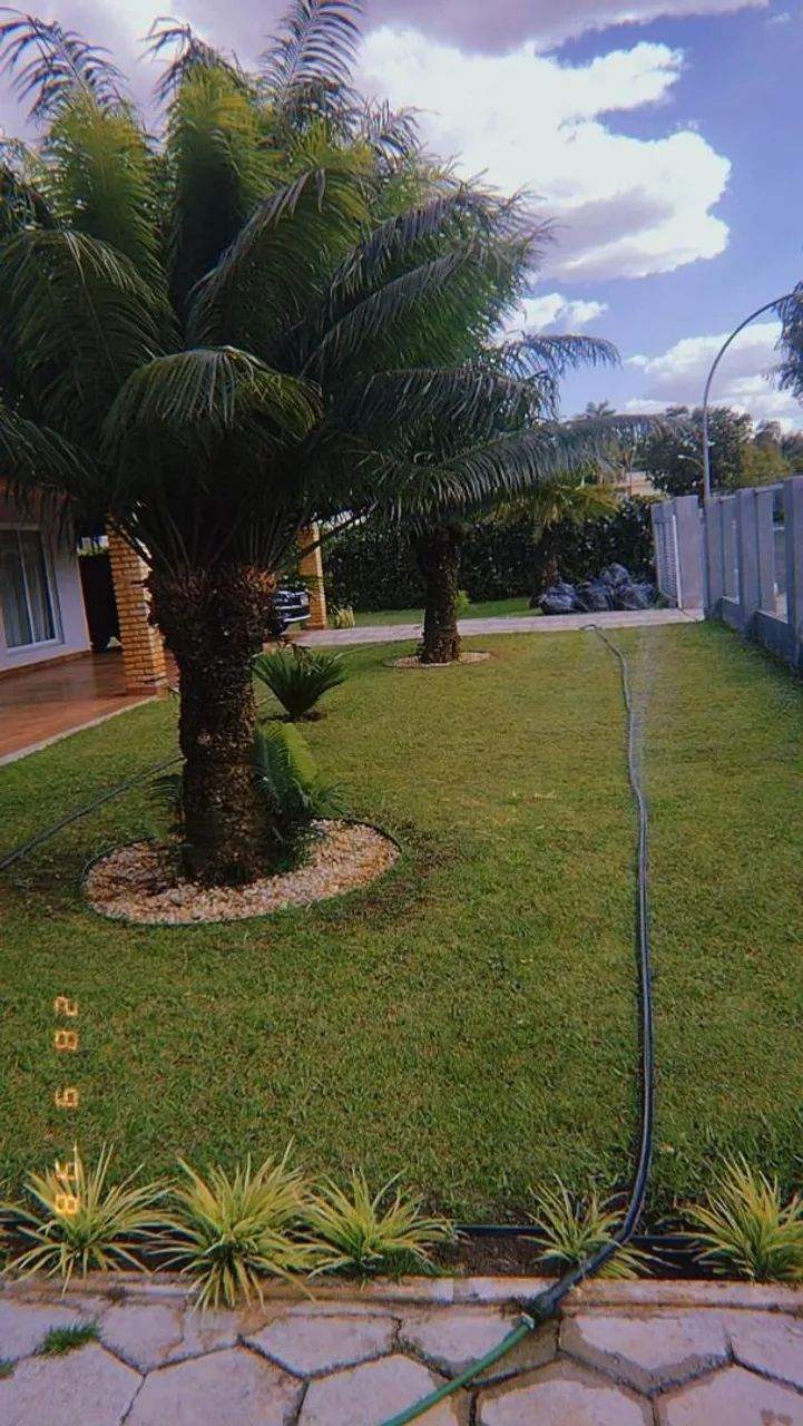Jardineiro  - Foto 2