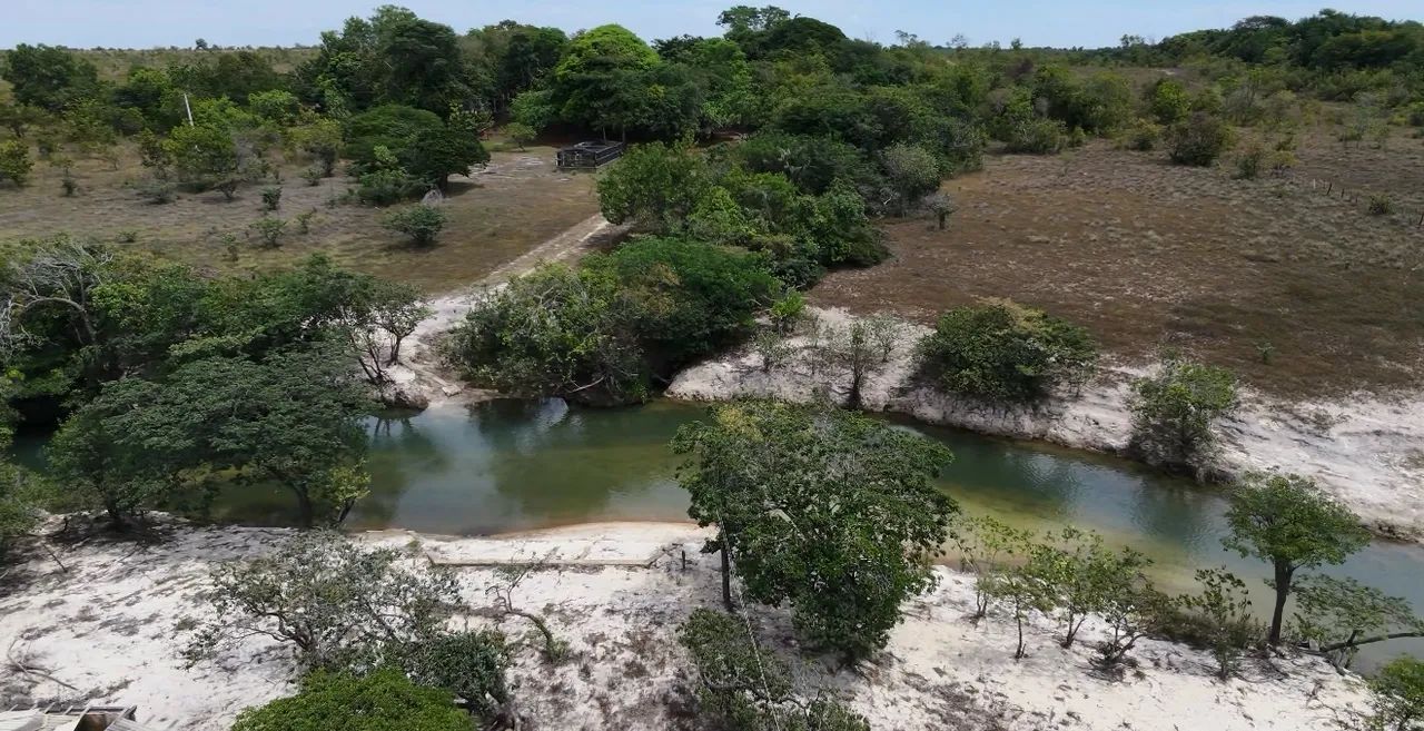 Vendo Área pra Chácara ou sítio  - Foto 5