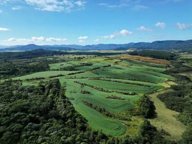 Fazenda com 101 hectares - Santa Catarina