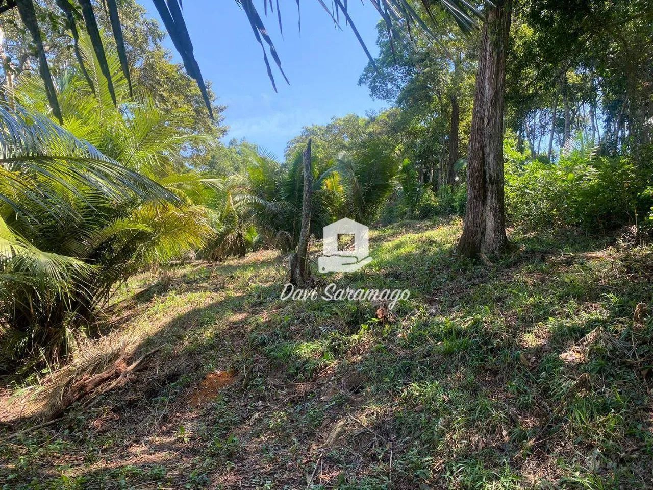 Terreno à venda, 5000 m² - Várzea das Moças - Foto 3