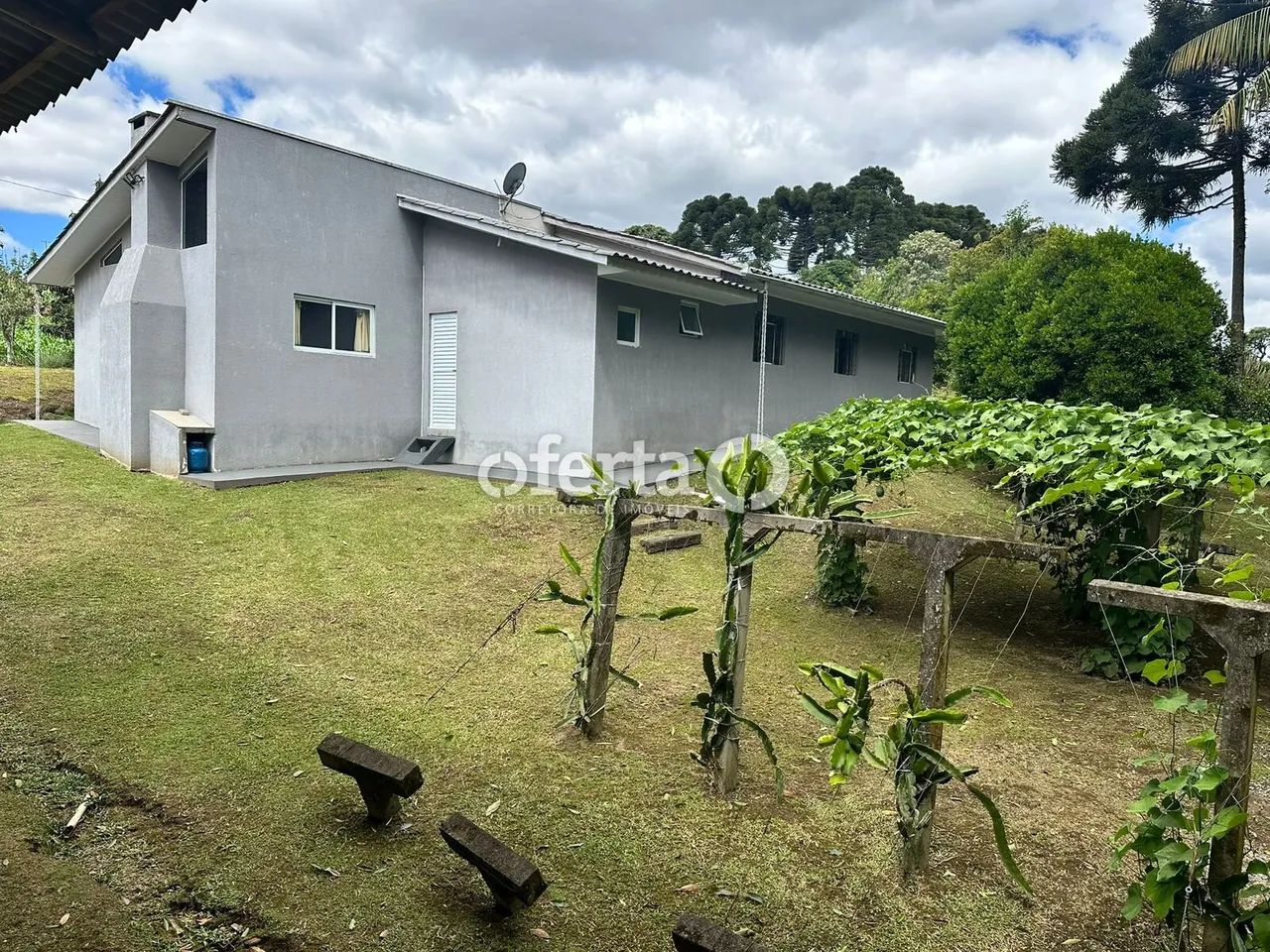 Campo do Tenente  Chácara Completa - Foto 4