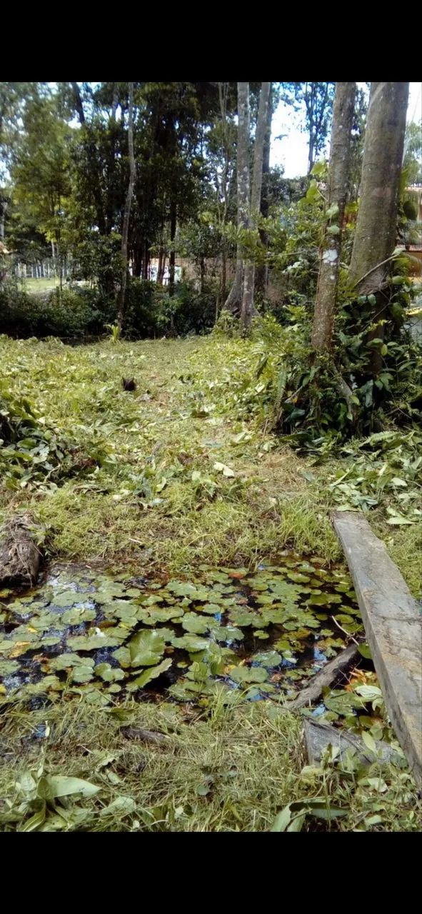 Terreno com igarapé e sem igarapé  - Foto 3