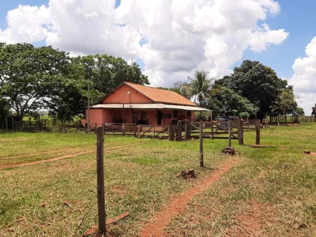 Vendo sítio de 24,799 Hectare em Bataguassu - MS - Foto 3