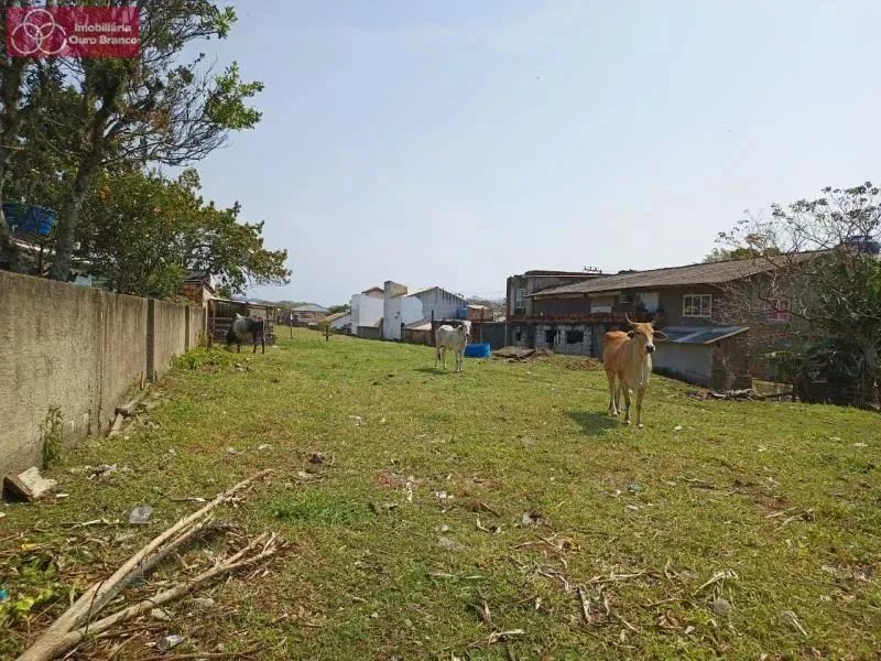 Terreno - Florianópolis SC - Foto 3