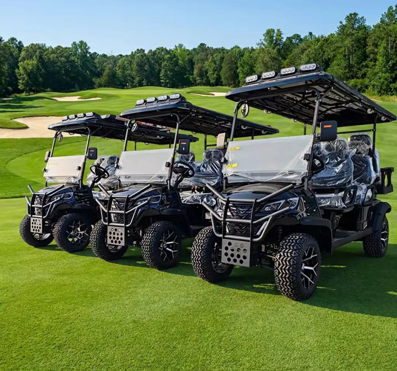 Carrinho de golf elétrico 
