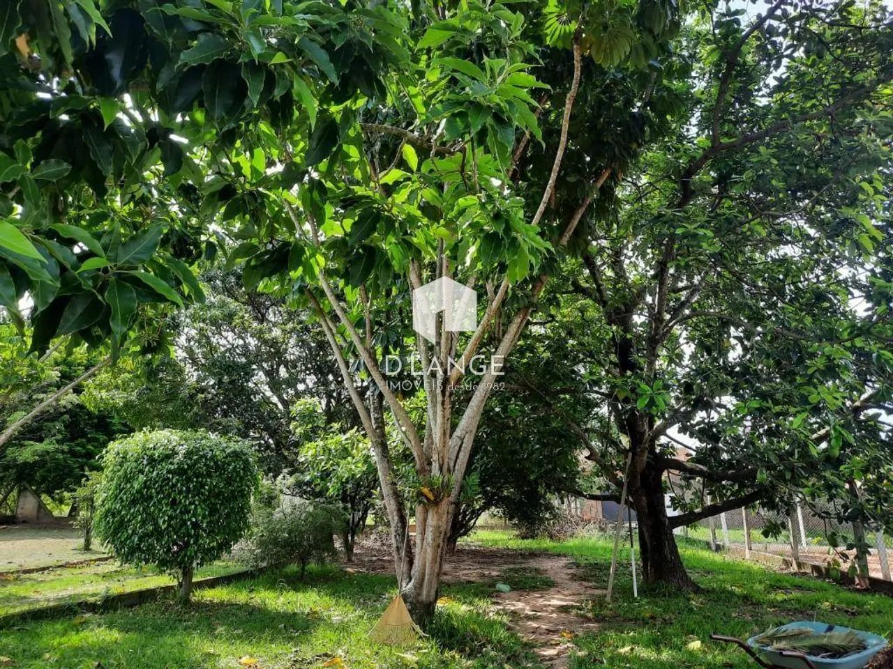 Chácara à venda em Village Campinas, em Campinas - Foto 4